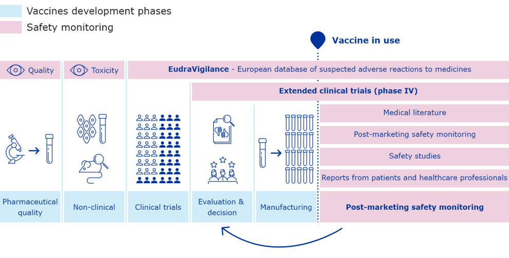 how_is_safety_of_vaccines_studied.png Process on how safety of vaccines is studied